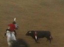 Bullfight on horseback