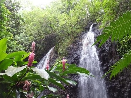 Secret waterfall Tahiti