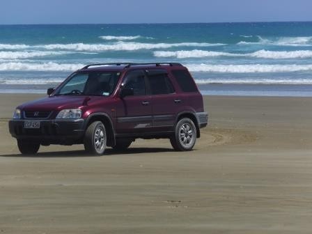 Wendy playing in the sand on Ninety Mile Beach