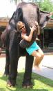 Monica the elephant : Meeting an elephant in Sri Lanka, I think that’s an elephant hug!