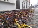 The bicycles of China