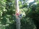 The Tarzan swing