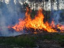 Burning the residue of clear cutting.  Many weeks spent in replanting the forest at Mule Pond Place.