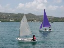 School children sailing in Falmouth Harbor.  This was the first solo sail for the girl in the Opti.