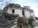 Residential building in Tikal