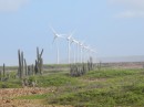Windmills on windward coast of Bonaire at Washington Slagbaai National Park.