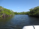 Exploring the lagoons off of Mangrove Bay