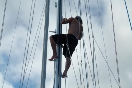 Bri up the mast watching for coral.