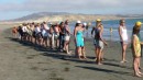 The gals line up during the Turtle Bay beach party for a tug of war against the guys.  The gals won, of course!