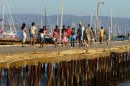 Curious Turtle Bay locals come out on the pier to check out the 600 or so Ha Ha cruisers who are invading the town.