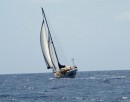 An hour out of Lake Worth inlet, we turn off the diesel and settle down for the crossing under genoa and staysail.