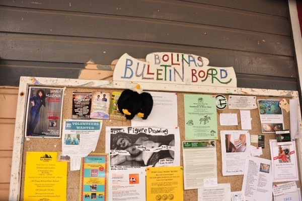 lefty checks out the Bolinas town bulletin board