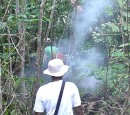 Following Mr Smoky through the jungle. This is where the smart people turned back.
