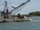 Pelicans hitching a ride on a shrimp boat and looking for dinner.