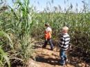 Adler and Alex in the "corn" maze - it was really sorghum.