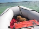 Fuzzy Relaxing in the Dinghy