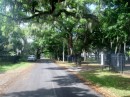A street in Lincolnville.