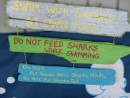 Swim with nurse sharks
Compass Cay