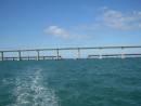 From Bayside to Oceanside
under the 7 mile bridge