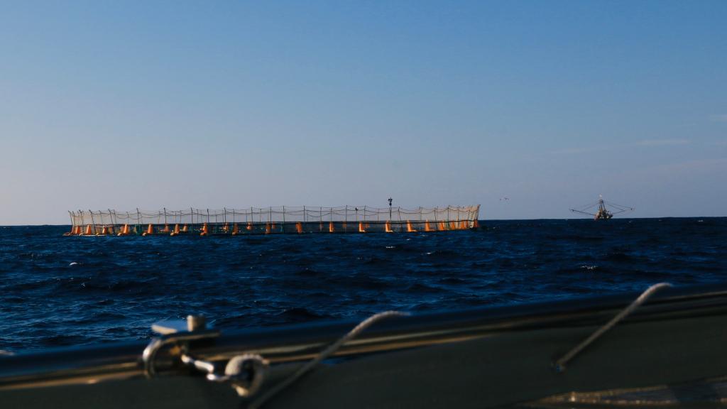 Tuna holding pen out at sea
