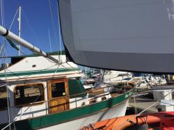 Genoa on pole for downwind sailing