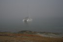 fog at Bahia Magdalena