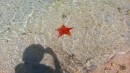 A sea star. (different kind of starfish). Oh look the shadow of the photograper is there too.