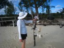 A totem pole on No Name Cay. Abaco, Bahamas 2-22-12