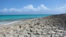 We hiked to the north end of Elbow Cay and the limestone shore mixes with sand. This shot is looking south at the Atlantic