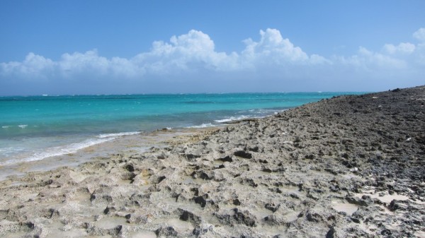 We hiked to the north end of Elbow Cay and the limestone shore mixes with sand. This shot is looking south at the Atlantic