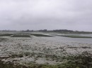 mussel farms
