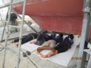 Thai worker team siesta