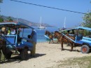 pony cart transport