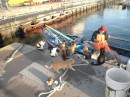 A fisherman with the cats in Messina