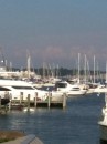 The Harbor from the Annapolis Yacht Club