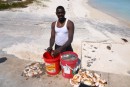 James, his pile of conch, live in the bucket and cleaned on the right....you can