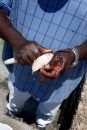 The King of Conch skinning it