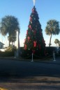 Christmas tree bookended by palms