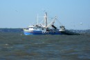 Shrinp boat dragging nets
