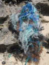 Sea debris, but pretty