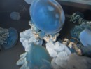 Beautiful blue sturdy jelly fish