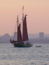 NewHavenschooner: A charter schooner that was sailing around as we anchored.