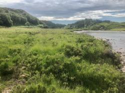 River above Lochinver: A salmon and trout fishing hotspot