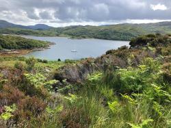 Loch Drumbuie : A very sheltered anchorage