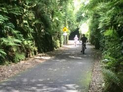 Cutting on the Greenway cycleway