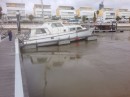 Expo Marina, Lisbon
Wallowing in the mud at low water springs!