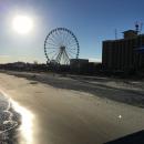 The Ferris Wheel @ Myrtle Beach