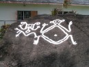 The Arawak petroglyphs.  They are carved into the rock.  The white paint is just to highlight the carvings.