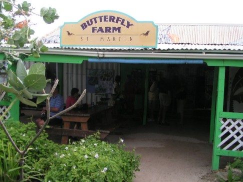 The entrance of The Butterfly Farm.