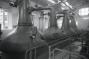 Final distillation process. 